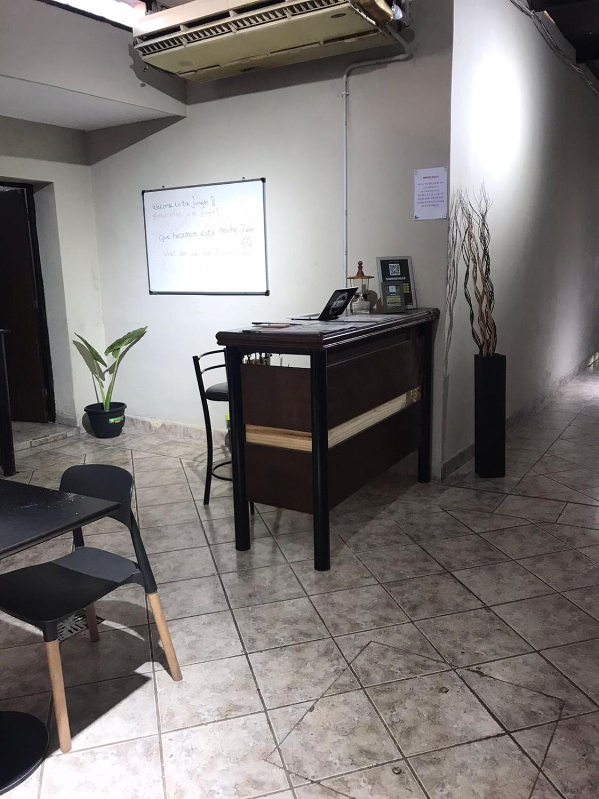 Urban Jungle Hostel Сан-Мігель-де-Тукуман Екстер'єр фото