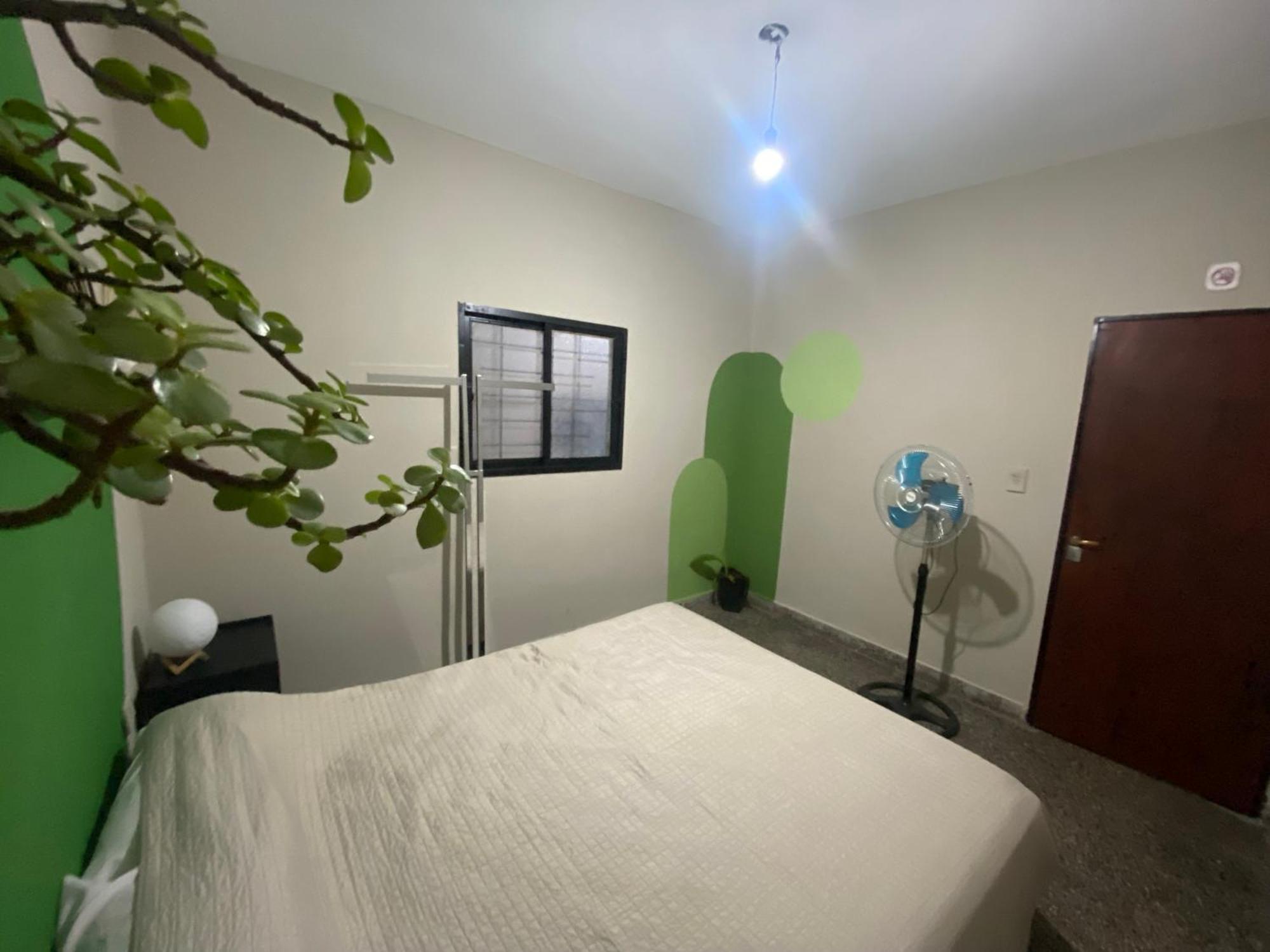 Urban Jungle Hostel Сан-Мігель-де-Тукуман Екстер'єр фото